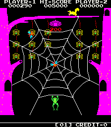 フロッグ&スパイダー