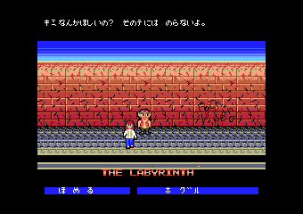ラビリンス魔王の迷宮