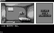 ESCAPE FROM RUNGISTAN