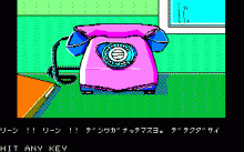 真夜中のラブコール