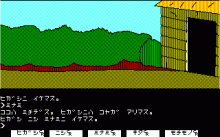 魔法の泉