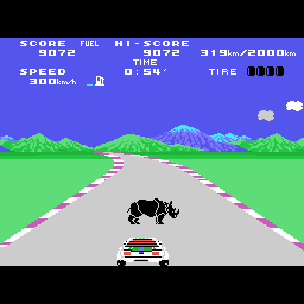 Safari Race